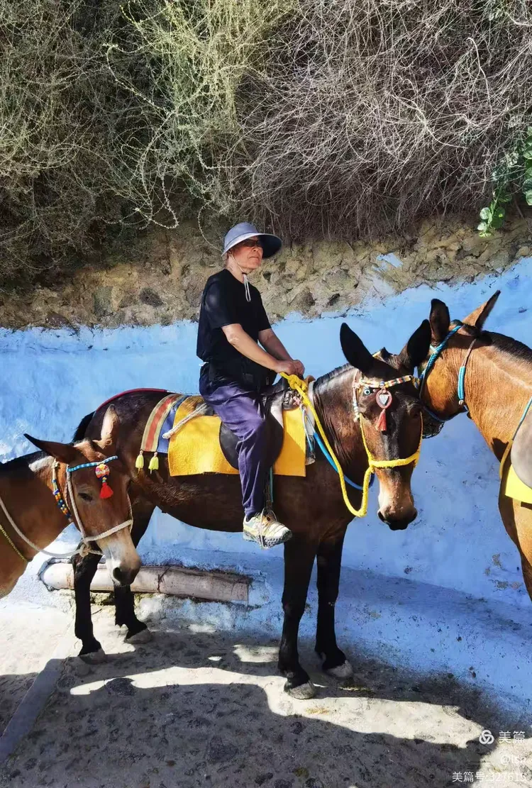 圣托里尼岛的夏日之旅:骑驴上山